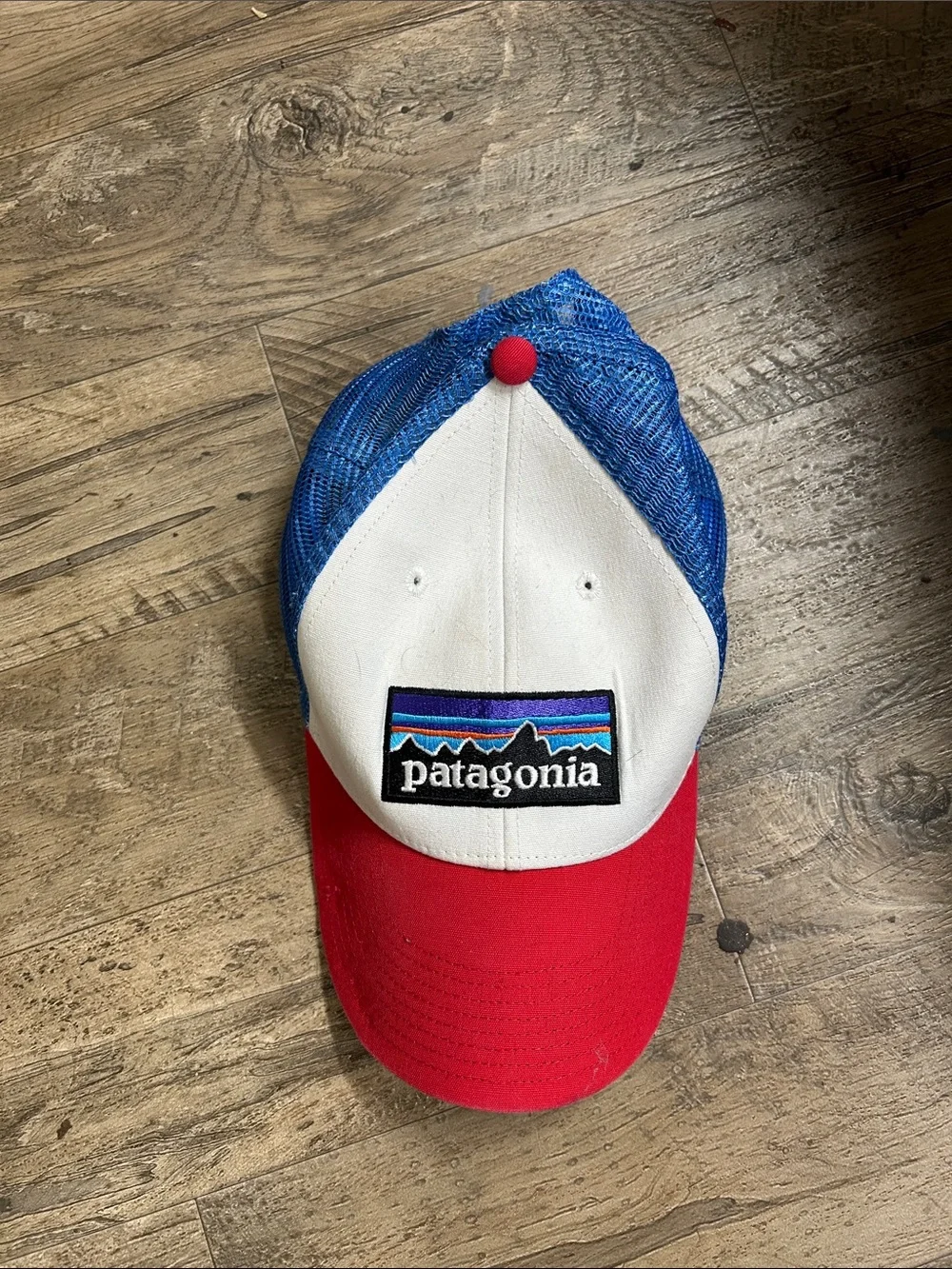 Patagonia hat